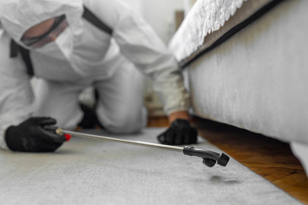 Professional Cockroach Control technician working in Clayton, CA